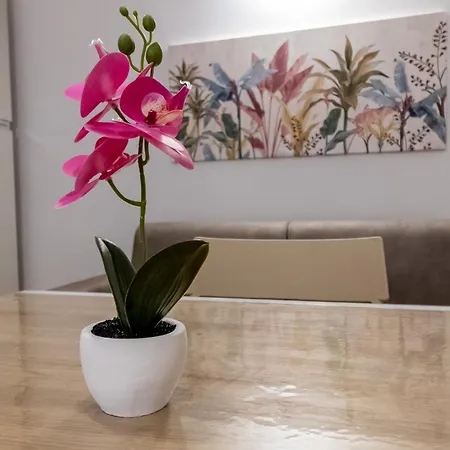 Apartamento Dante 434 *